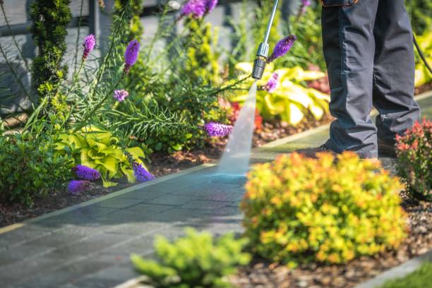 Best Fence Cleaning and Maintenance in Leisure Knoll, NJ